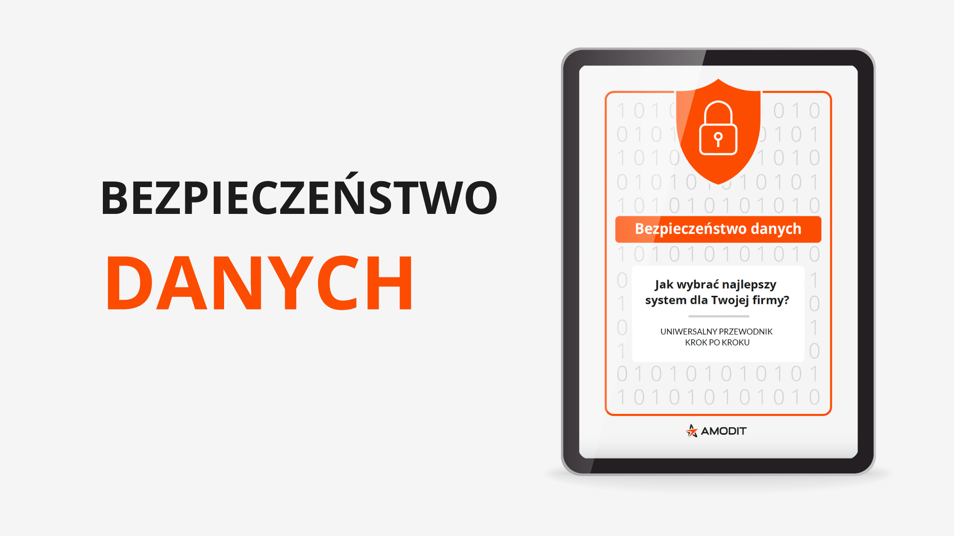 Ebook Bezpieczeństwo danych
