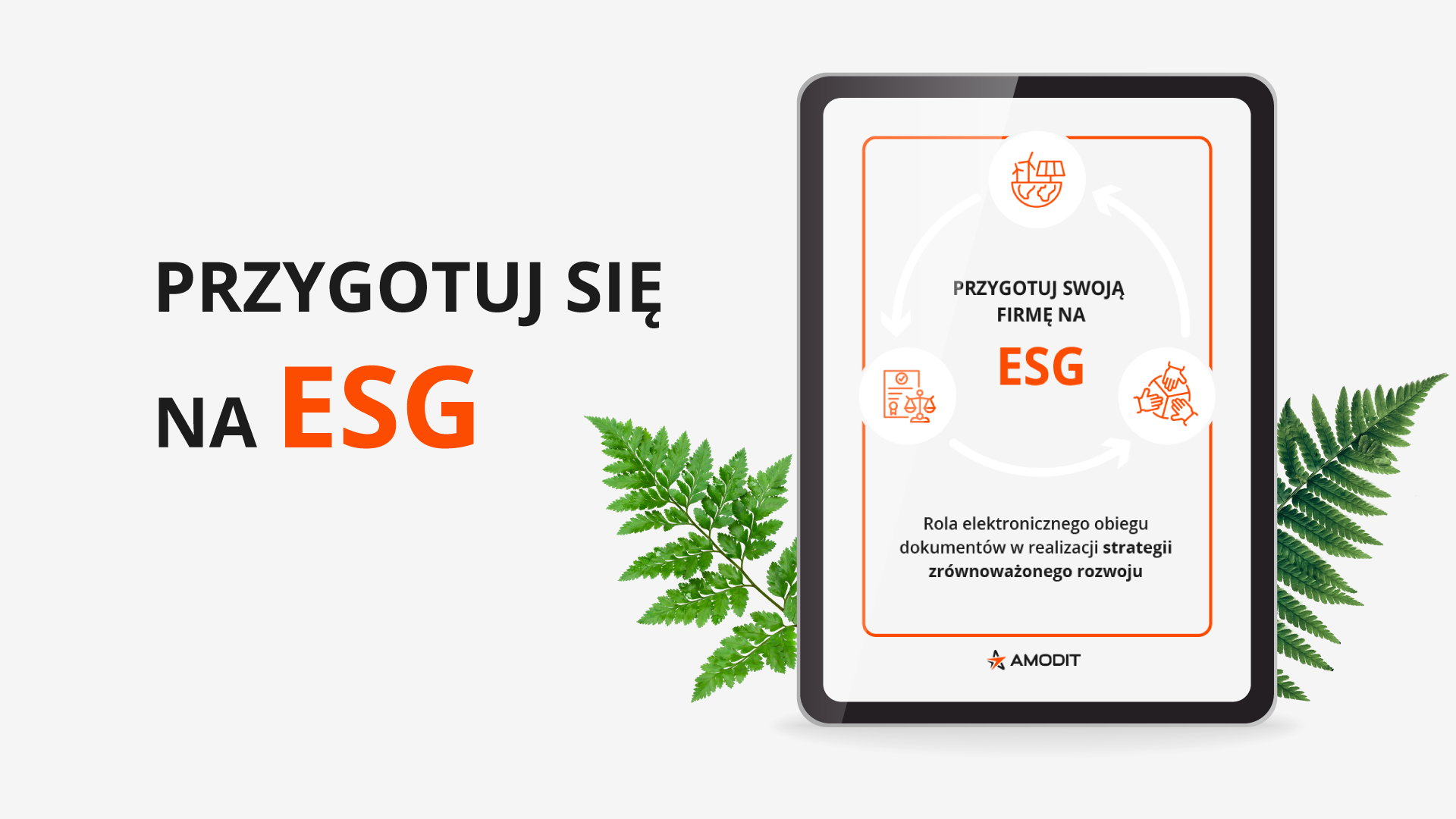 Ebook ESG
